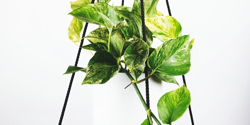 美加墨世界杯赛程日历与重要比赛日期提醒